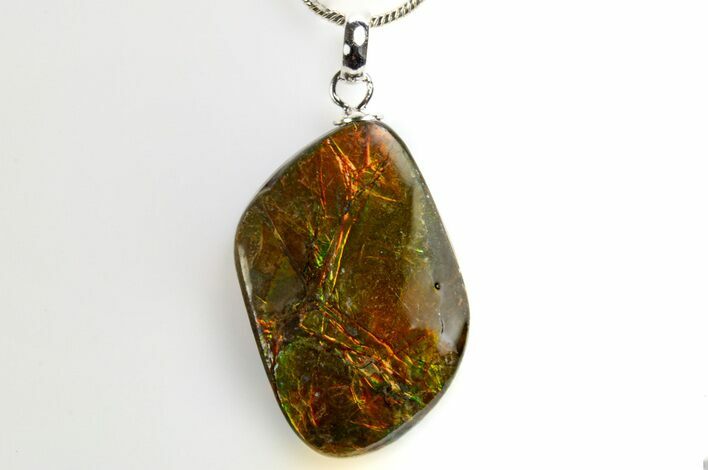 Brilliant Ammolite Pendant (Necklace) - Alberta, Canada #312479